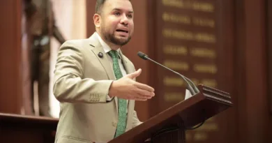 Reyes Galindo impulsa reforma para garantizar atención integral a la salud mental materna en Michoacán