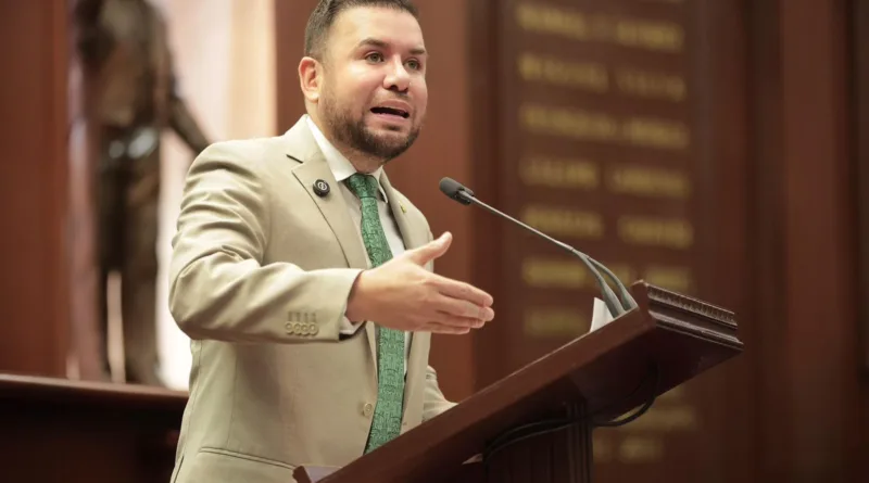 Reyes Galindo impulsa reforma para garantizar atención integral a la salud mental materna en Michoacán