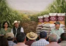 Carlos Soto impulsa apoyo a pequeños productores con semilla certificada de maíz