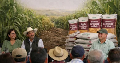 Carlos Soto impulsa apoyo a pequeños productores con semilla certificada de maíz