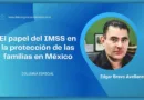 El papel del IMSS en la protección de las familias en México