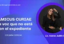 AMICUS CURIAE La voz que no está en el expediente