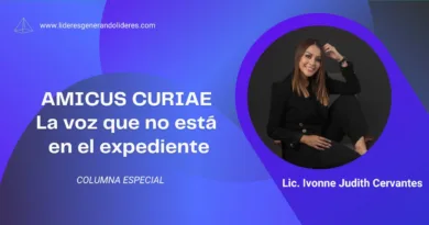 AMICUS CURIAE La voz que no está en el expediente