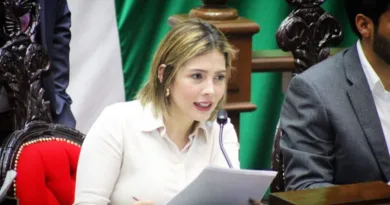Brissa Arroyo Lleva al Congreso Propuesta para Fortalecer la Atención a Víctimas de Violencia Familiar
